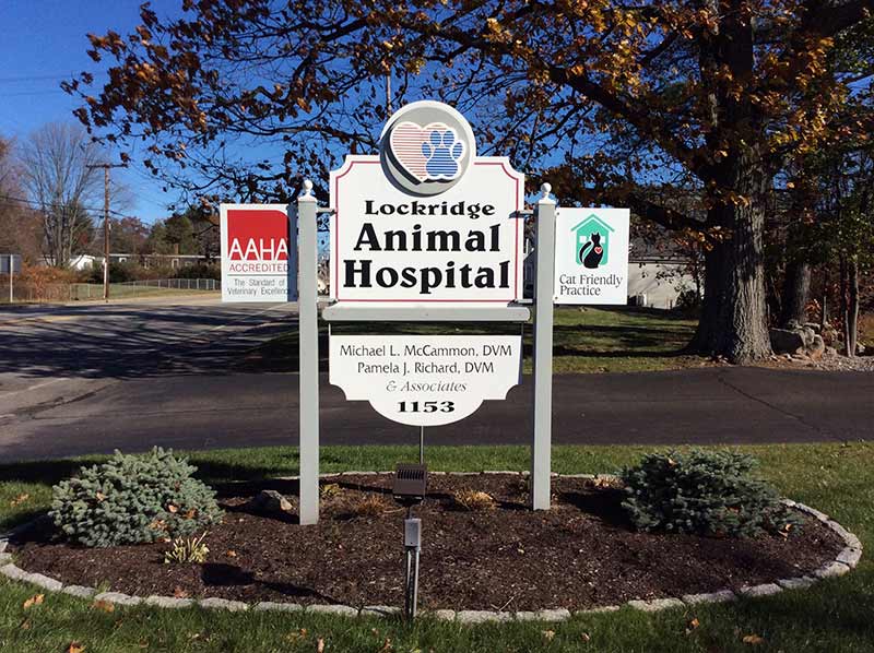 animal hospital in Manchester