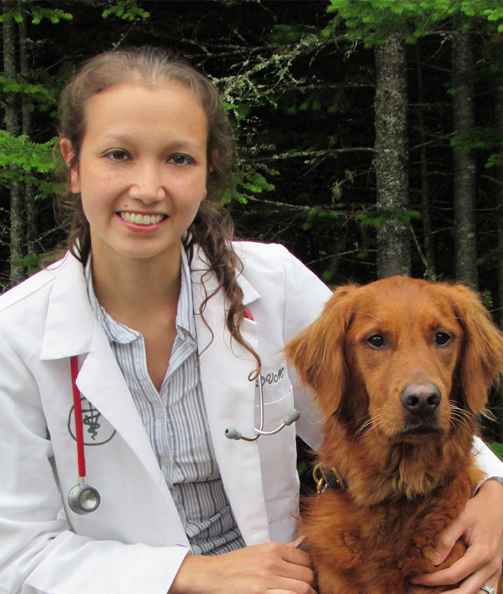 Dr. Sophie Borodic, DVM | Lucerne Veterinary Hospital